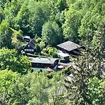 Wasseramsel * Harzgerode
