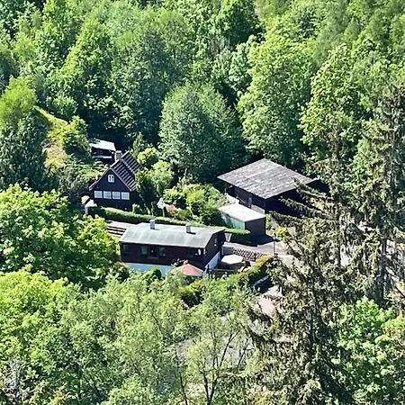 Wasseramsel * Harzgerode